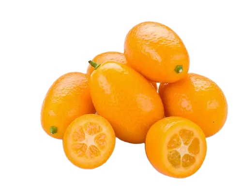 Nagami Kumquats – Pearson Ranch