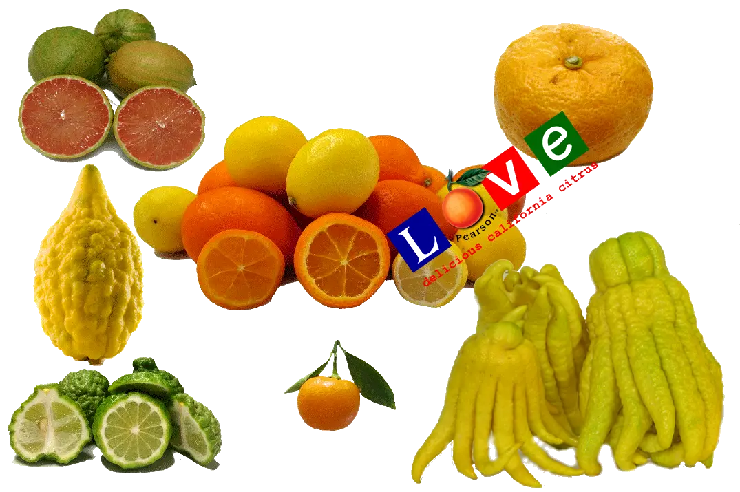 Specialty Citrus- Pearson Ranch