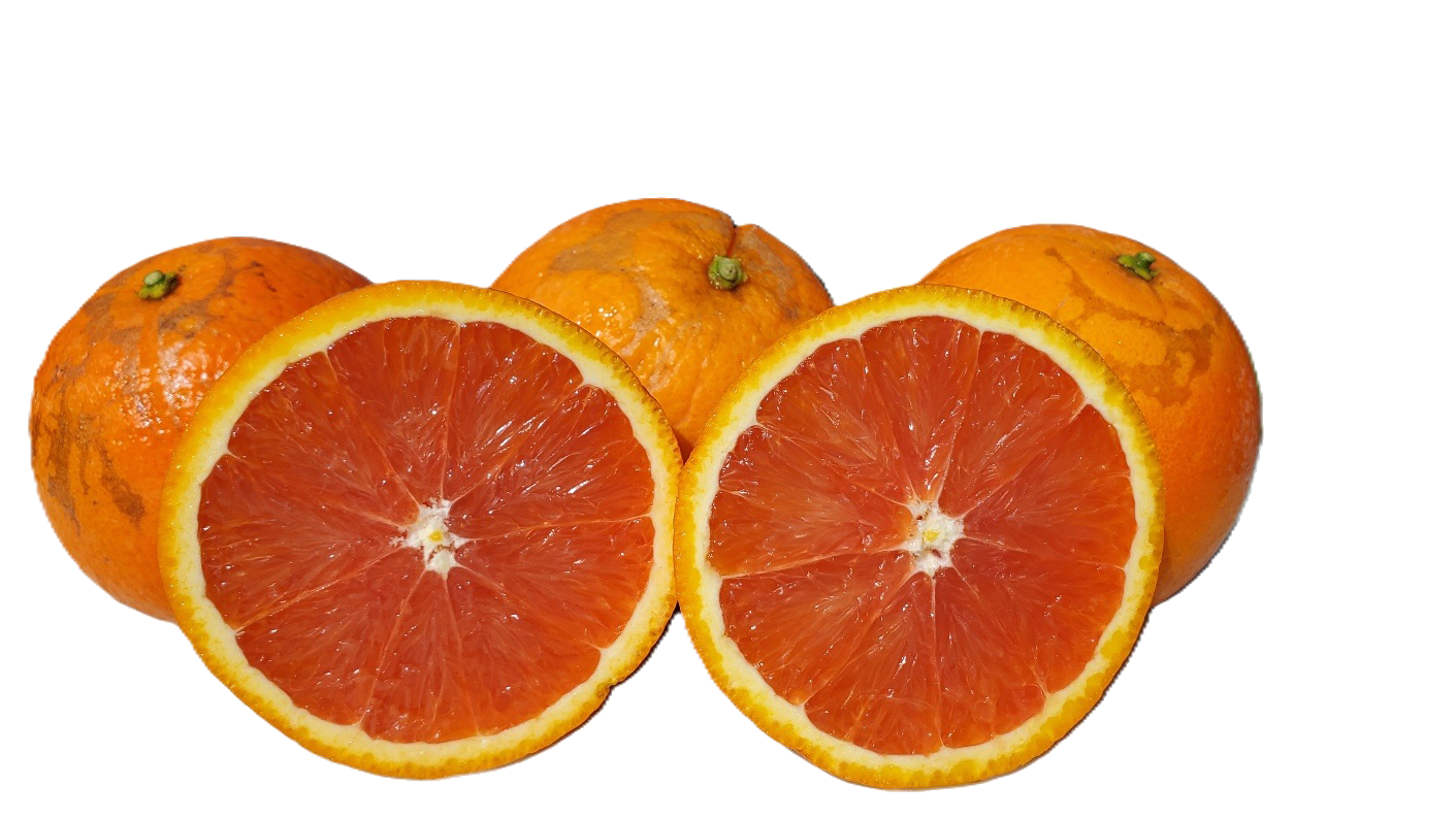 Cara Cara Oranges CHOICE Grade - 5 Pounds with Shipping Included