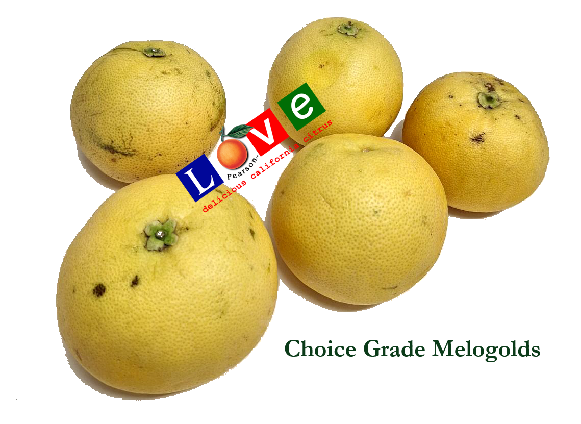 Melogold Grapefruit CHOICE Grade (Half Order) Pearson Ranch