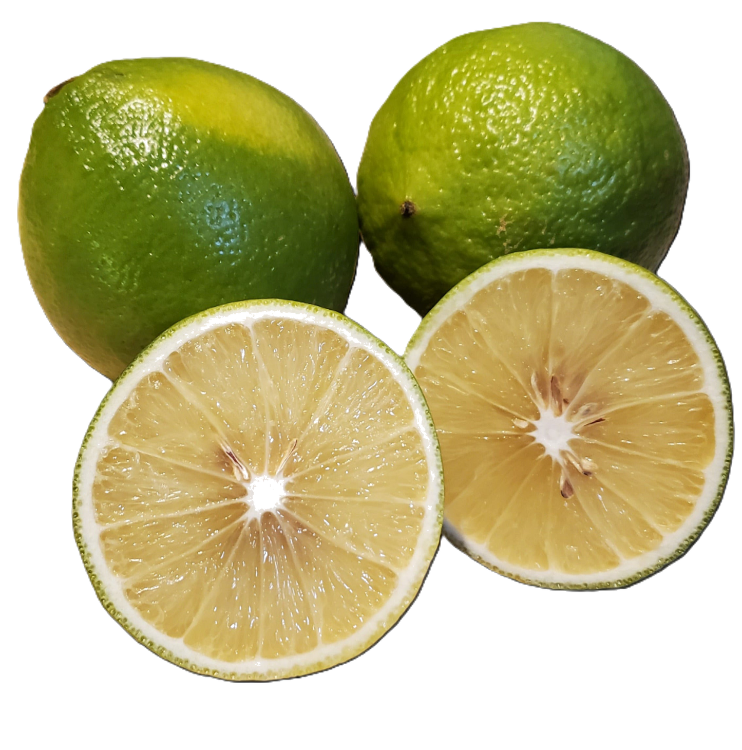 Bergamot Sour Oranges - 5 Pounds with Shipping Included