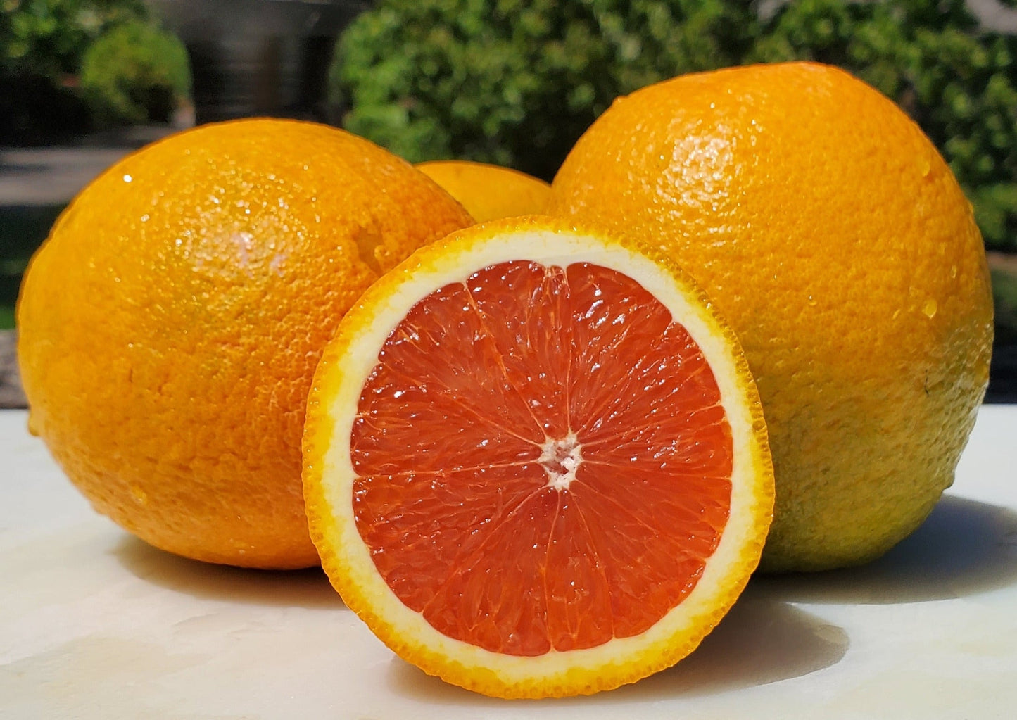 Red Valencias from Pearson Ranch