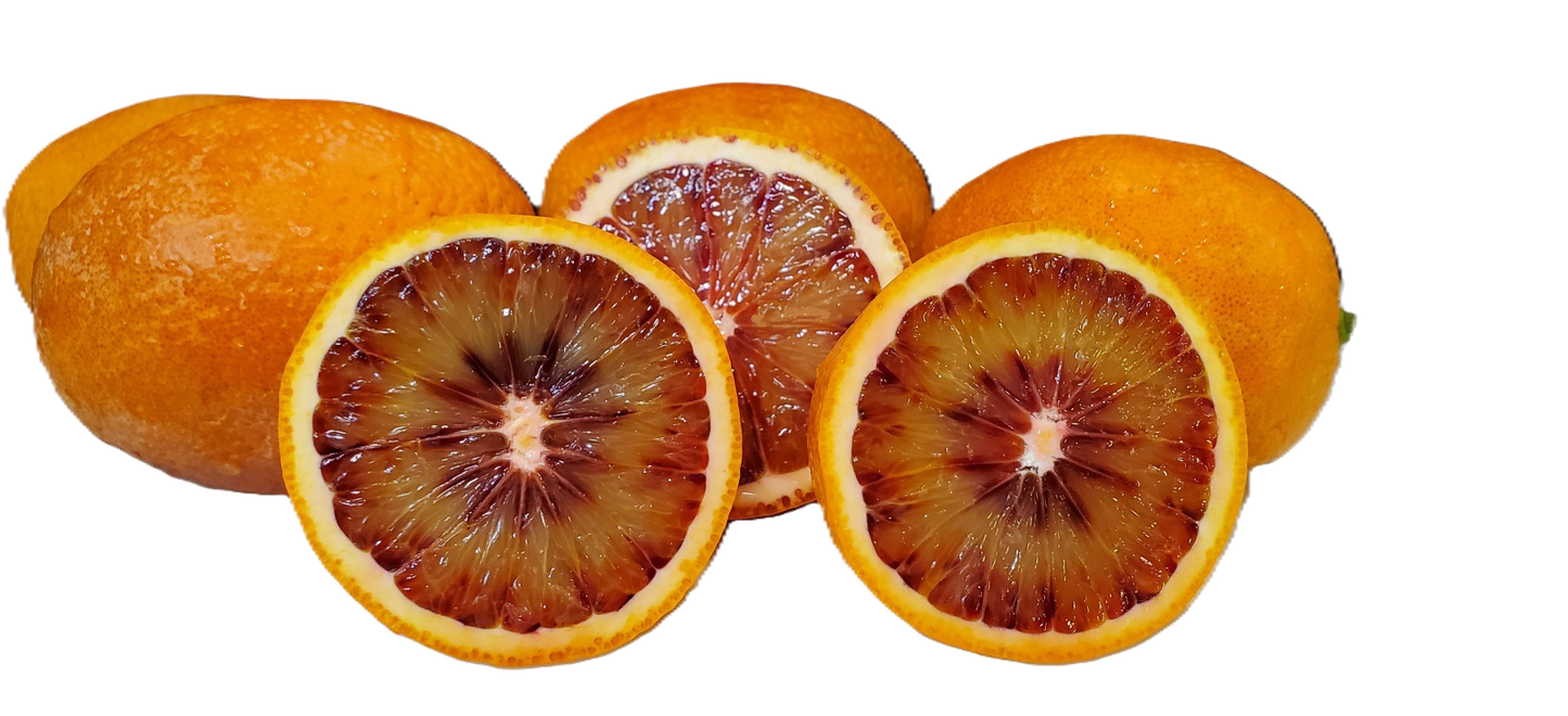Sanguinelli Blood Oranges - 20 Pounds Pearson Ranch
