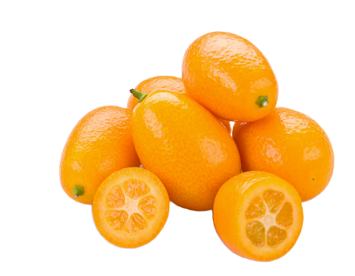 Nagami Kumquats - 1 Pound Pearson Ranch