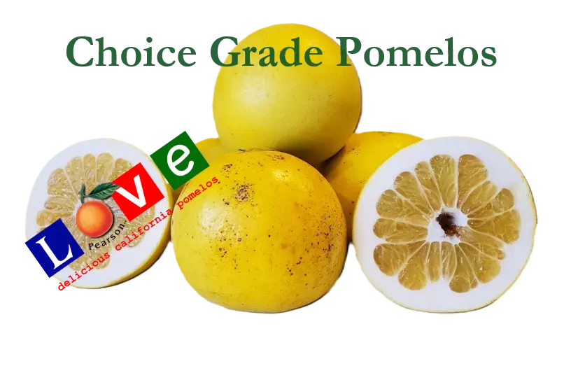 Love® Choice Pomelos (Full Box) Pearson Ranch