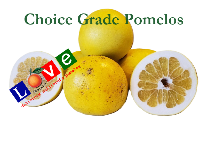 Love® Choice Pomelos (Half Box) Pearson Ranch
