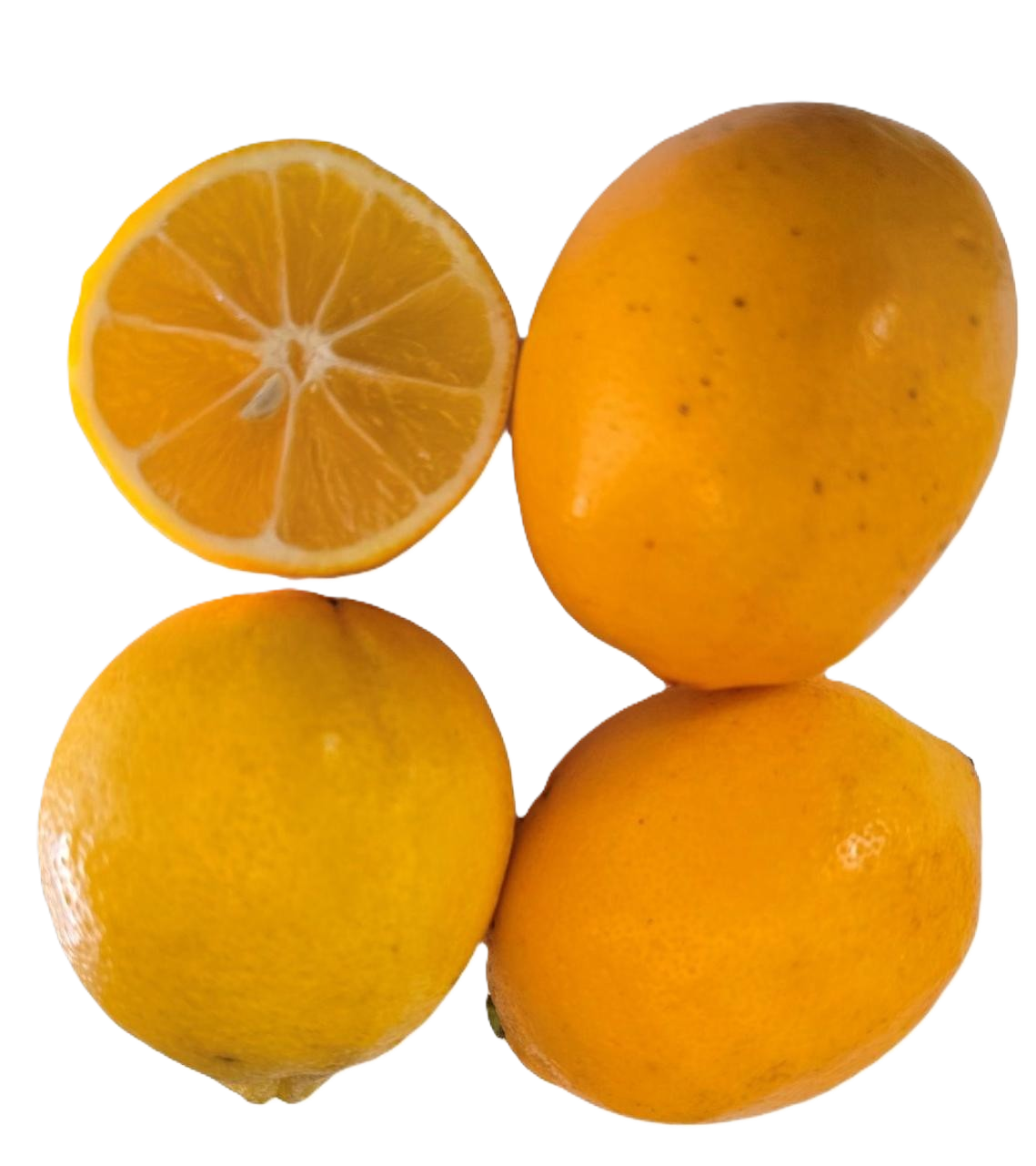 Meyer Lemons CHOICE Grade - 5 Pounds with Shipping Included Pearson Ranch