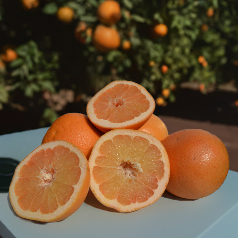 Marsh Ruby Grapefruit (Half Order)