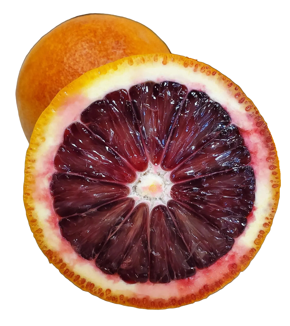 Moro Blood Oranges - 20 Pounds Pearson Ranch