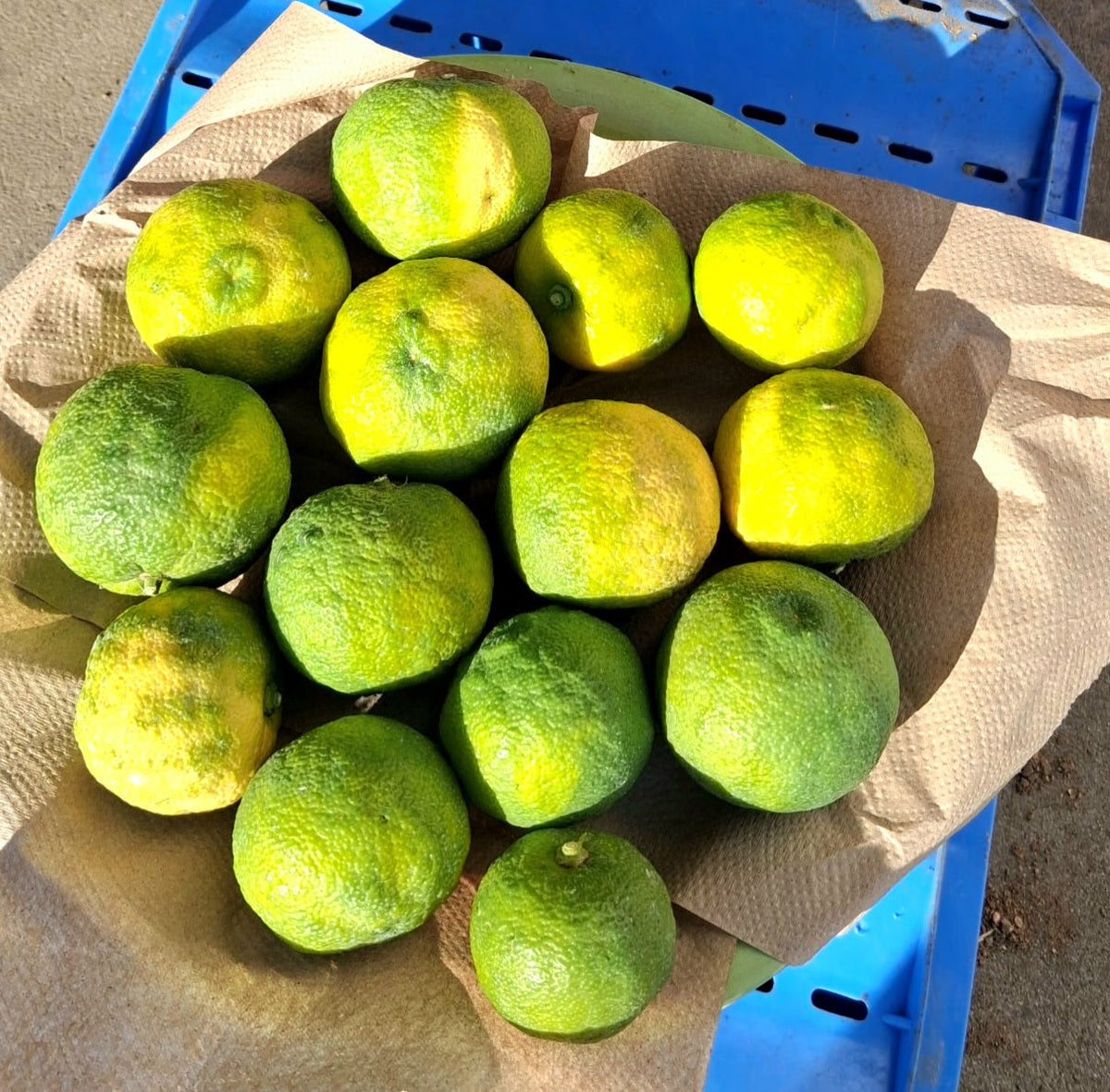 green-yellow yuzu fruit on a plate