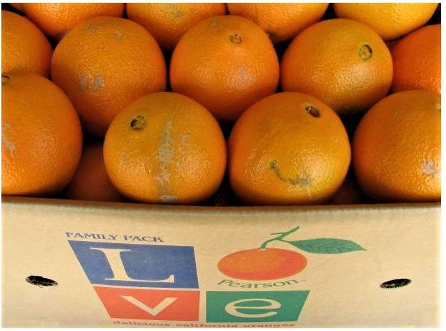 Love® Choice Oranges - 20 Pounds