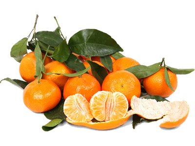 Mandarins - 5 Pounds with Shipping Included