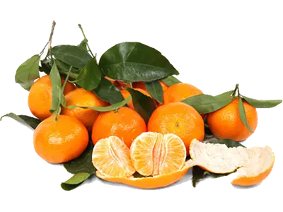 Mandarins - 5 Pounds with Shipping Included Pearson Ranch