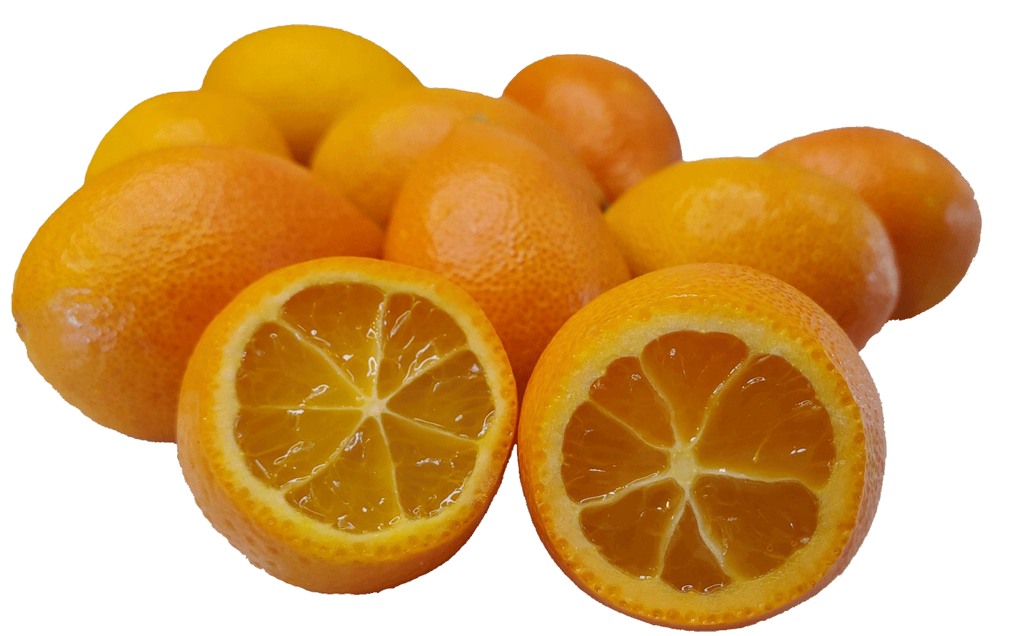 Centennialquats - 5 Pounds with Shipping Included