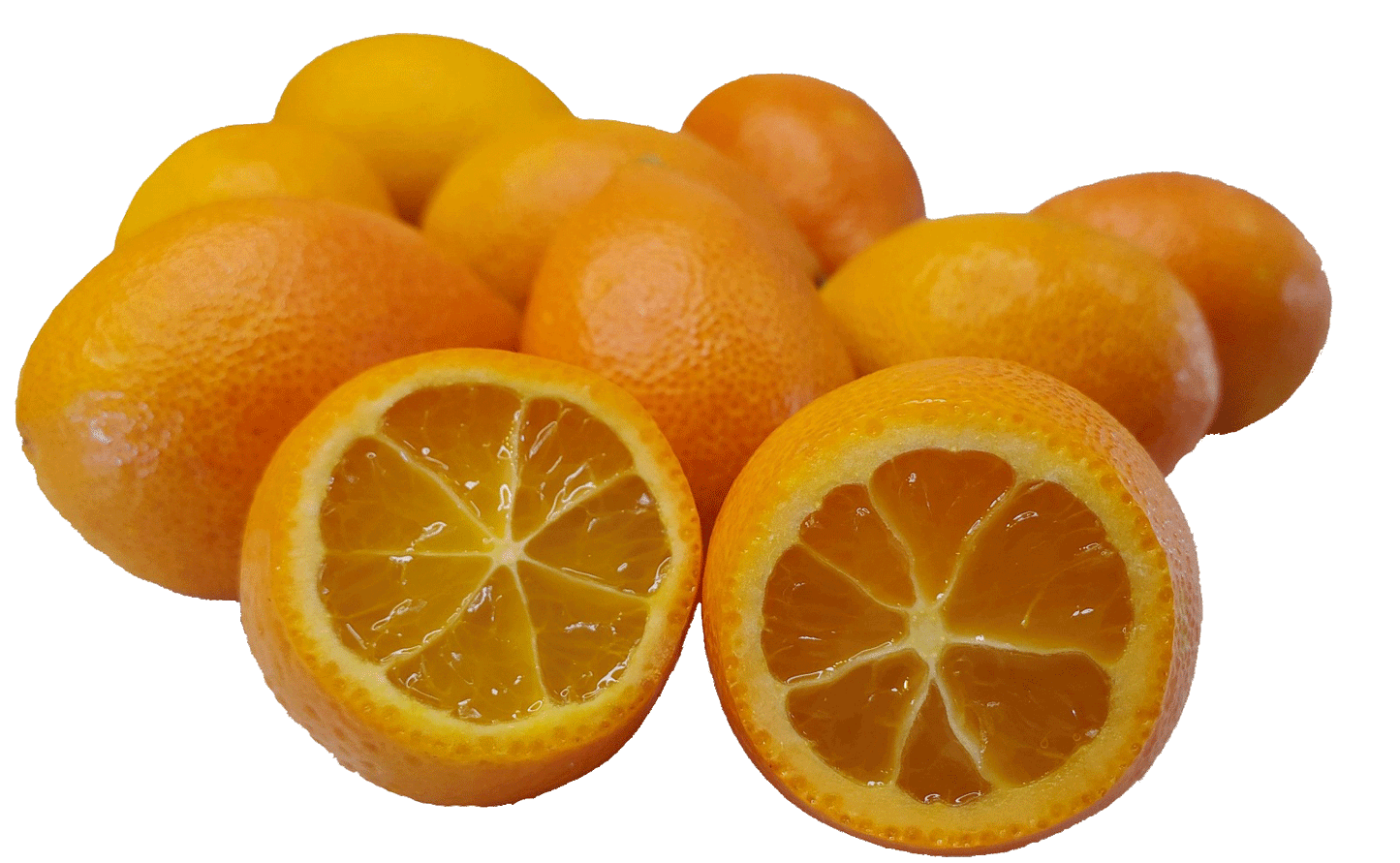 Centennialquats - 5 Pounds with Shipping Included Pearson Ranch