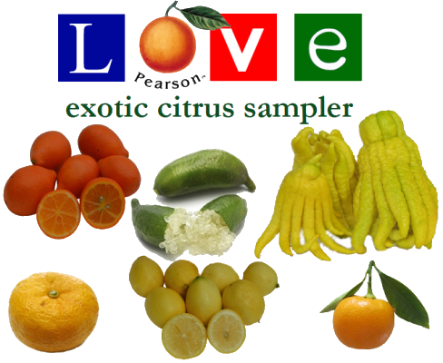 Exotic Citrus Sampler Pearson Ranch
