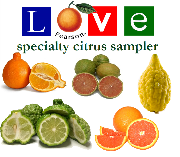 Specialty Citrus Sampler Pearson Ranch