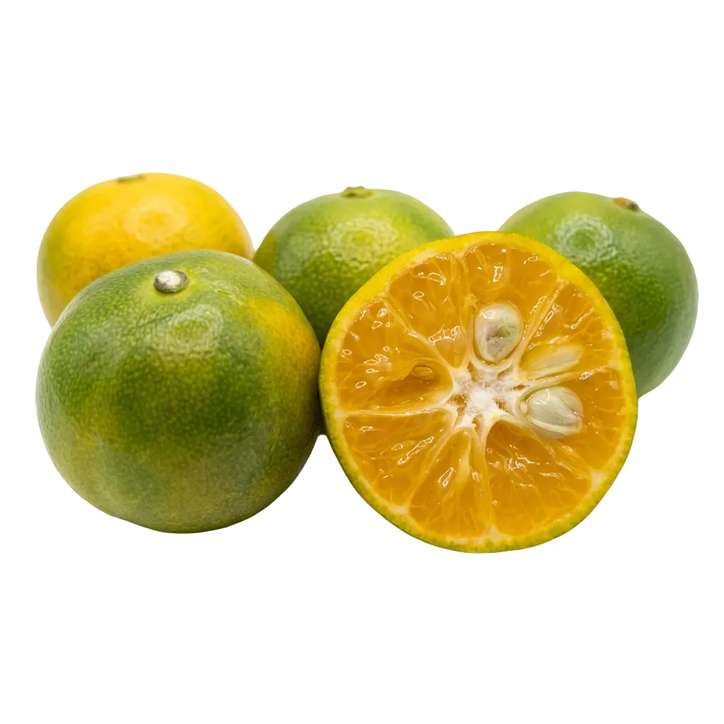 Calamondins - 5 Pounds with Shipping Included Pearson Ranch