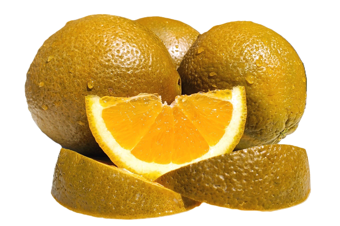 Chocolate Navel Oranges - 5 Pounds with Shipping Included