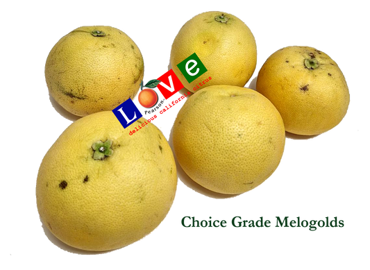 Melogold Grapefruit CHOICE Grade (Half Order)