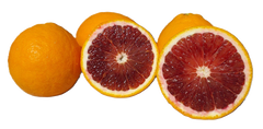 Tarocco Blood Oranges CHOICE Grade- 4 Pounds with Shipping Included