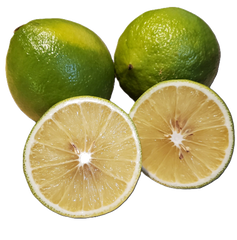 Bergamot Sour Oranges - 5 Pounds with Shipping Included