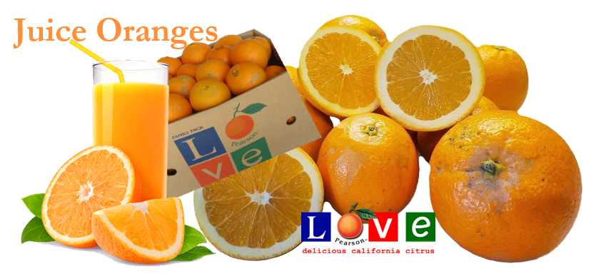 5 Pound Citrus Boxes – Pearson Ranch
