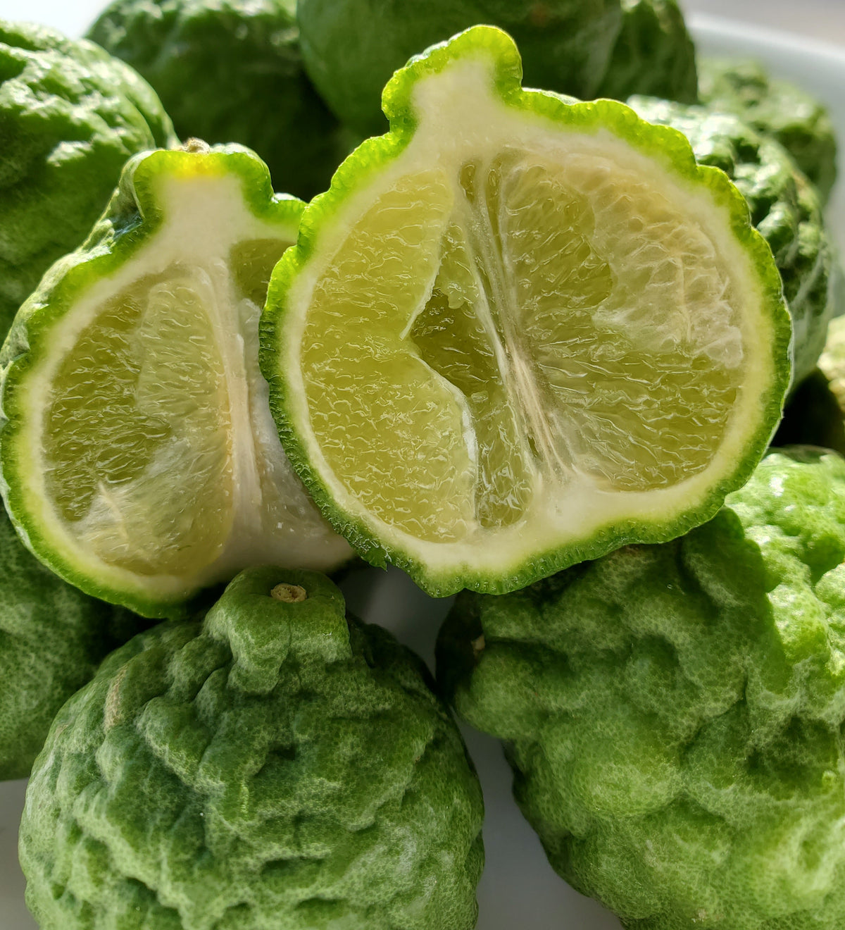 Kaffir/Makrut Limes - 1 Pound Pearson Ranch
