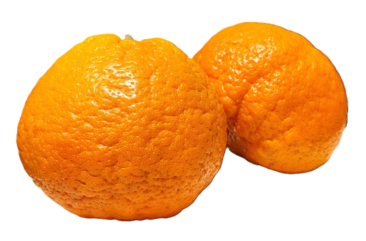 Shasta Gold Mandarins - 5 Pounds with Shipping Included