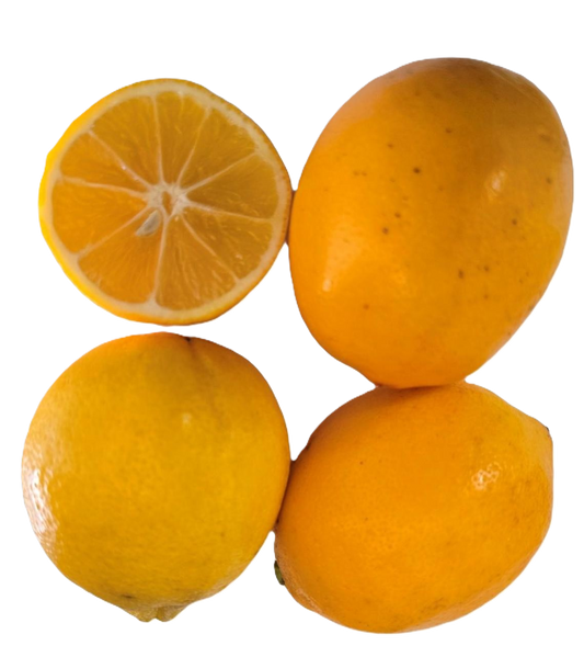 Meyer Lemons CHOICE Grade - 5 Pounds with Shipping Included