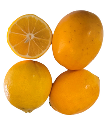 Meyer Lemons CHOICE Grade - 5 Pounds with Shipping Included