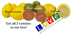 Lemon Sampler - 5 Pounds with Shipping Included