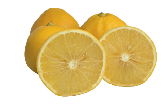 Bergamot Sour Oranges - 5 Pounds with Shipping Included