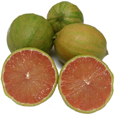 Pink Lemons- 1 Pound
