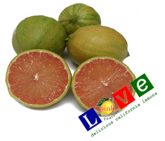 Pink Lemons- 1 Pound