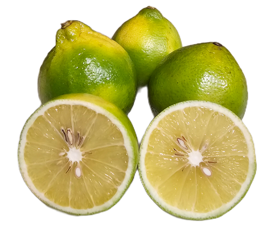Bergamot Sour Oranges - 5 Pounds with Shipping Included Pearson Ranch