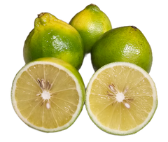 Bergamot Sour Oranges - 5 Pounds with Shipping Included