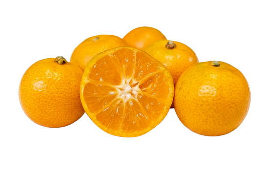 Calamondins - 1 Pound Pearson Ranch