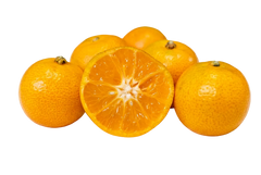 Calamondins - 1 Pound