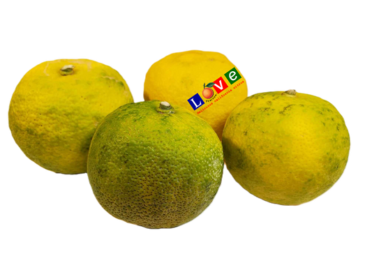 4 pieces of green-yellow Yuzu citrus with the LOVE logo overlaid on the fruit