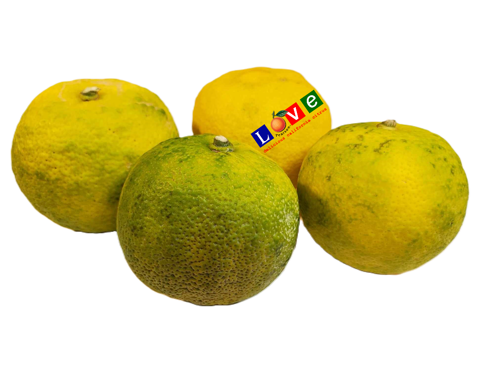4 pieces of green-yellow Yuzu citrus 