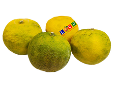 Yuzu - 4 Pounds - 4 Pounds with Shipping Included (5-12 ct.)