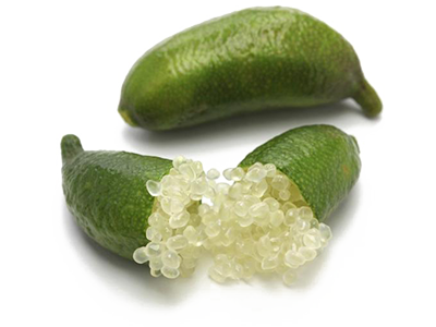 Finger Limes from Pearson Ranch